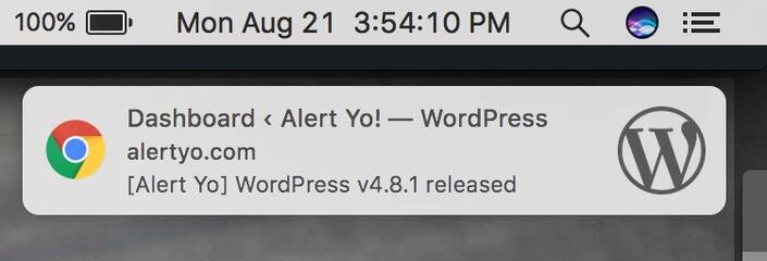Web Push notifications via Google Chrome